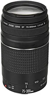 Canon EF 75-300mm f/4.0-5.6 III