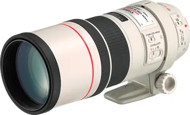 Canon EF 300mm f/4.0L IS USM