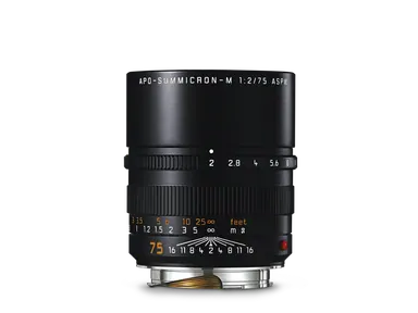 Leica APO-Summicron-M 75mm f/2 ASPH