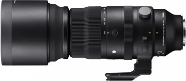 Sigma 150-600mm F5-6.3 DG DN OS | S