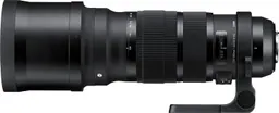 Sigma 120-300mm F2.8 EX DG OS HSM